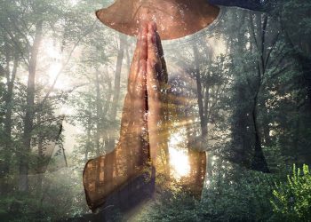 Für die Erde handeln – Verantwortung übernehmen