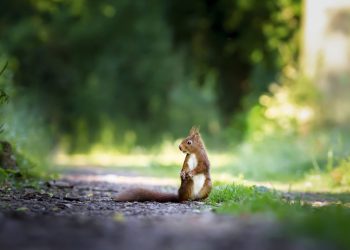 Erdverbunden mit Achtsamkeit