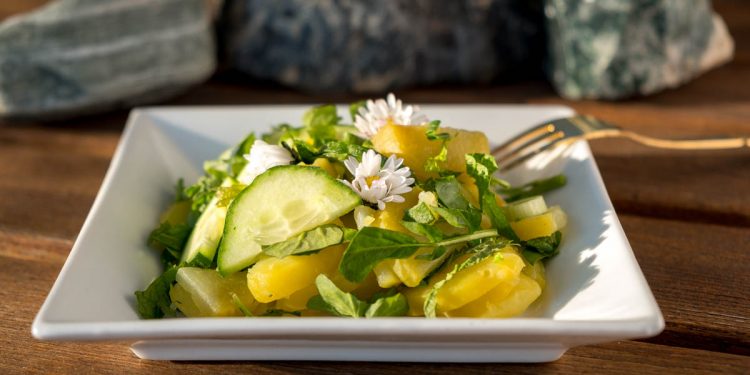 Frühlings-Kartoffelsalat mit Wildkräutern