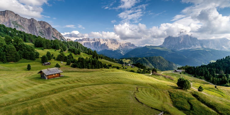Heilschatz der Alpen – Skribben