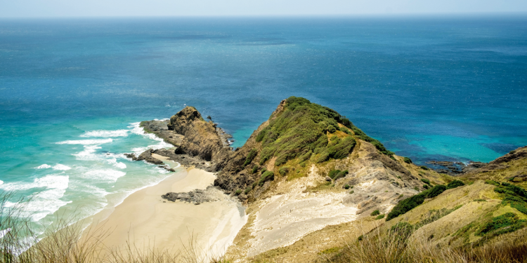 Lemuria – von Hawaii bis Neuseeland
