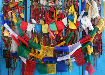 Die Augen als Spiegel der Seele