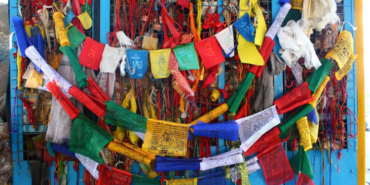 Die Augen als Spiegel der Seele