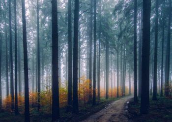 Das Ritual der Lebenshütte