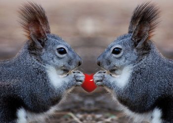 Raus aus der Emotion, rein ins Gefühl
