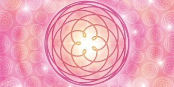 Venusblume