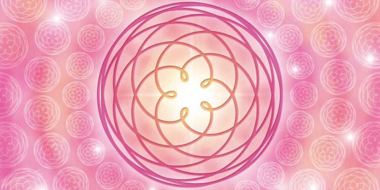 Venusblume